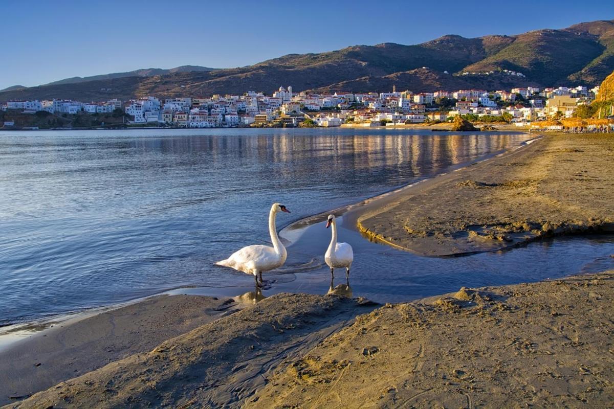 Kontos-Traditional House In Andros Beach エクステリア 写真
